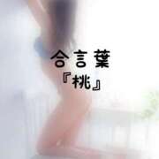 ヒメ日記 2026/08/19 15:01 投稿 松井 ふうか Men's relaxation VEGA