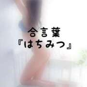 ヒメ日記 2026/08/20 16:00 投稿 松井 ふうか Men's relaxation VEGA