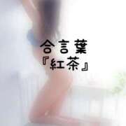 ヒメ日記 2026/08/24 15:20 投稿 松井 ふうか Men's relaxation VEGA