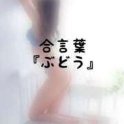 ヒメ日記 2026/09/01 17:14 投稿 松井 ふうか Men's relaxation VEGA
