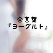 ヒメ日記 2026/09/05 17:31 投稿 松井 ふうか Men's relaxation VEGA