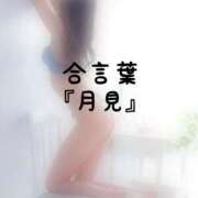 ヒメ日記 2026/09/07 16:01 投稿 松井 ふうか Men's relaxation VEGA