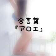ヒメ日記 2026/09/09 16:01 投稿 松井 ふうか Men's relaxation VEGA