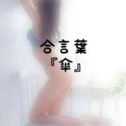 ヒメ日記 2026/09/18 16:02 投稿 松井 ふうか Men's relaxation VEGA