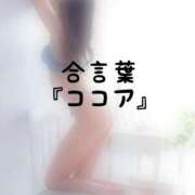 ヒメ日記 2026/09/24 17:15 投稿 松井 ふうか Men's relaxation VEGA