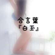 ヒメ日記 2026/09/30 16:30 投稿 松井 ふうか Men's relaxation VEGA
