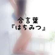 ヒメ日記 2026/10/08 18:35 投稿 松井 ふうか Men's relaxation VEGA