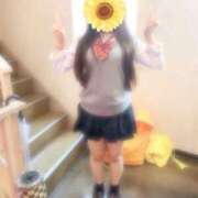 ヒメ日記 2025/05/03 12:19 投稿 あみ ピンクスター