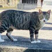 ヒメ日記 2025/05/12 15:03 投稿 えす★UL対応 Blue Moon