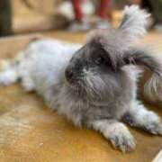 ヒメ日記 2025/10/05 17:31 投稿 笑って咲く『花』になろう。 グッドスマイル