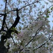 笑って咲く『花』になろう。 しゅっきん❣️ グッドスマイル