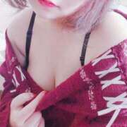 ヒメ日記 2024/12/15 11:56 投稿 みみ ちゃんこ本厚木店