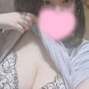 ヒメ日記 2024/12/15 16:53 投稿 みみ ちゃんこ本厚木店