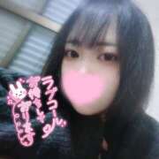 ヒメ日記 2025/04/07 17:43 投稿 みみ ちゃんこ本厚木店