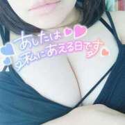 ヒメ日記 2024/12/11 08:48 投稿 なみ 鹿児島ちゃんこ 薩摩川内店