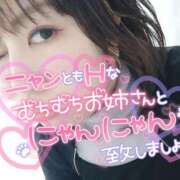 ヒメ日記 2024/12/28 09:46 投稿 なみ 鹿児島ちゃんこ 薩摩川内店