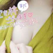 ヒメ日記 2025/03/30 10:37 投稿 なみ 鹿児島ちゃんこ 薩摩川内店