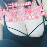 ヒメ日記 2025/04/02 11:28 投稿 なみ 鹿児島ちゃんこ 薩摩川内店