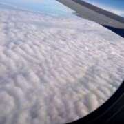 ヒメ日記 2025/06/26 00:00 投稿 なみ 鹿児島ちゃんこ 薩摩川内店