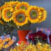 ヒメ日記 2025/05/27 08:20 投稿 かな ウルトラグレイス24