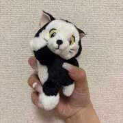 ヒメ日記 2025/06/06 14:00 投稿 かな ウルトラグレイス24