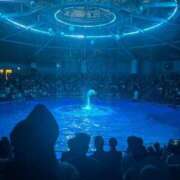 ヒメ日記 2025/07/16 16:20 投稿 かな ウルトラグレイス24