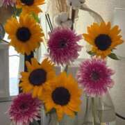 ヒメ日記 2025/09/07 10:20 投稿 かな ウルトラグレイス24