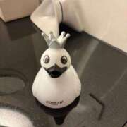 ヒメ日記 2025/09/12 12:20 投稿 かな ウルトラグレイス24