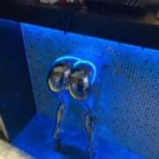 ヒメ日記 2025/03/23 05:43 投稿 朝倉【あさくら】 丸妻 西船橋店