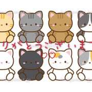 ヒメ日記 2025/05/16 15:42 投稿 若狭歌波(わかさかなみ) 五十路マダムエクスプレス厚木店(カサブランカグループ)