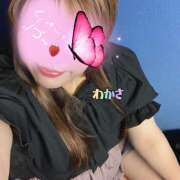 ヒメ日記 2025/08/01 01:10 投稿 若狭歌波(わかさかなみ) 五十路マダムエクスプレス厚木店(カサブランカグループ)