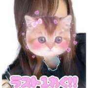 ヒメ日記 2025/07/20 15:36 投稿 まめ ジュリアングループ八王子店