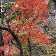 ヒメ日記 2024/10/05 04:27 投稿 片岡 あなたに逢いたくて