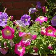 ヒメ日記 2025/01/07 23:57 投稿 片岡 あなたに逢いたくて