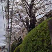 ヒメ日記 2025/04/04 04:17 投稿 片岡 あなたに逢いたくて