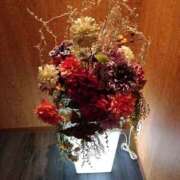 ヒメ日記 2025/04/27 04:37 投稿 片岡 あなたに逢いたくて