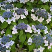 ヒメ日記 2025/06/14 00:07 投稿 片岡 あなたに逢いたくて