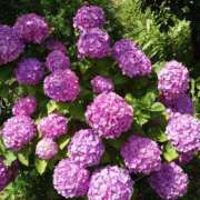 ヒメ日記 2025/07/11 21:27 投稿 片岡 あなたに逢いたくて