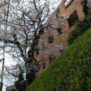 ヒメ日記 2026/03/18 22:07 投稿 片岡 あなたに逢いたくて