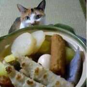 ヒメ日記 2024/12/11 05:39 投稿 チェリー 鶯谷デッドボール