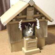 ヒメ日記 2024/12/12 04:29 投稿 チェリー 鶯谷デッドボール