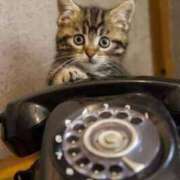 ヒメ日記 2024/12/17 05:59 投稿 チェリー 鶯谷デッドボール