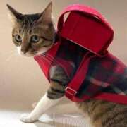 ヒメ日記 2024/12/19 05:59 投稿 チェリー 鶯谷デッドボール