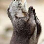 ヒメ日記 2024/12/20 05:49 投稿 チェリー 鶯谷デッドボール