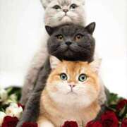 ヒメ日記 2024/12/20 15:19 投稿 チェリー 鶯谷デッドボール