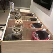 ヒメ日記 2025/01/14 05:59 投稿 チェリー 鶯谷デッドボール