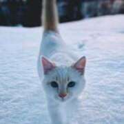 ヒメ日記 2025/01/25 06:09 投稿 チェリー 鶯谷デッドボール