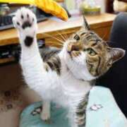 ヒメ日記 2025/01/27 10:19 投稿 チェリー 鶯谷デッドボール