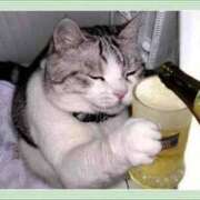 ヒメ日記 2025/02/14 05:09 投稿 チェリー 鶯谷デッドボール