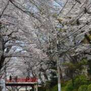 ヒメ日記 2025/02/17 08:39 投稿 チェリー 鶯谷デッドボール